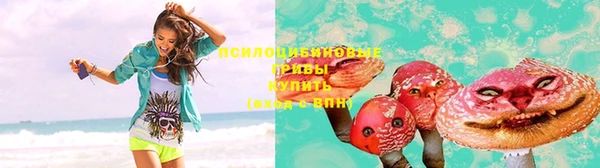 spice Кодинск