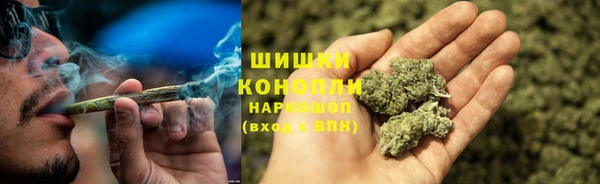 шишки Армянск
