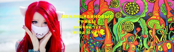 таблы Алзамай