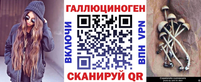 Галлюциногенные грибы прущие грибы  Порхов 